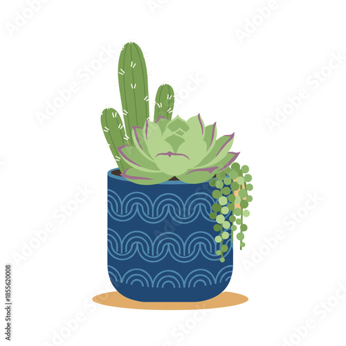 Modern Succulent and Cactus Arrangement in Decorative Blue Patterned Pot, Indoor Plant Illustration for Home Decor and Gardening
