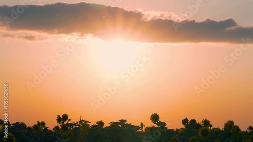 Beautiful Bright Orange Blue Sky Sun and Clouds at Sunset in a Field of Sunflowers, Fast Time Lapse. The Shining Sun Sets in the Colorful Orange Sky in Sunlight Sun Rays Sunbeams, Timelapse, Horizon.