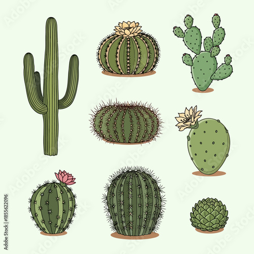 A vibrant close-up of a blooming pink peony flower with soft petals and golden stamens captured in natural sunlight against a blurred green garden background