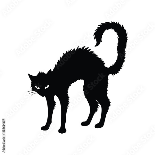 Black cat silhouette illustration, fur standing, Halloween creepy gothic vintage horror style vector