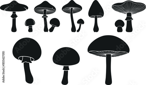 Vector set of black mushroom silhouettes and fungus icons in various shapes and sizes isolated on white background for design