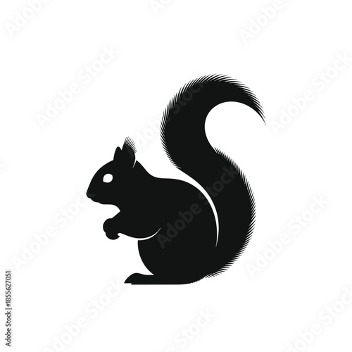 Black Squirrel Silhouette on White Background with Detailed Fur Texture.