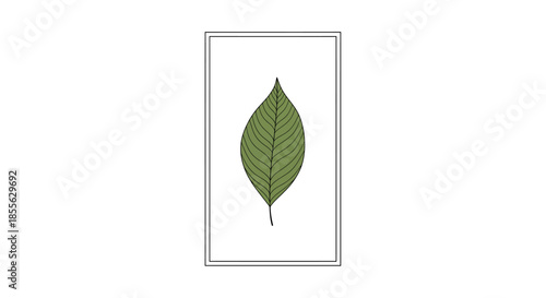 A minimalist illustration of a single green leaf enclosed within a simple rectangular frame against a plain background