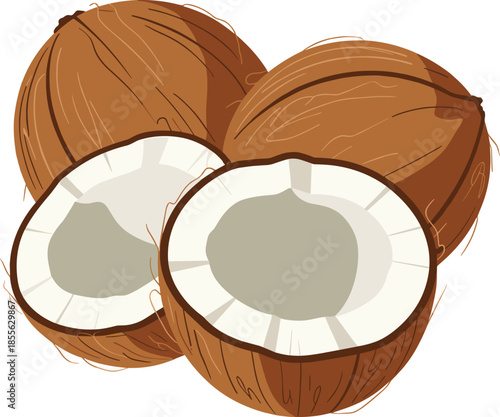 Three Coconuts Two Whole One Halved On White Background Keywords: coconut, fruit, tropical, food, brown, shell, husk, white, flesh