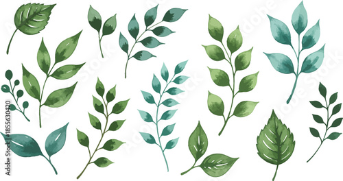 Collection of various green leaves on stems and branches