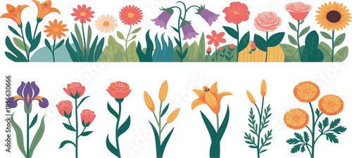 Colorful Spring Garden Flower Vector Set With Floral Borders Roses Lilies and Sunflowers for Greeting Cards
