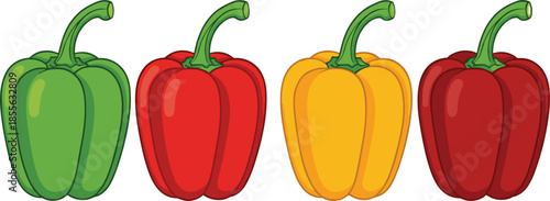 Colorful bell pepper vegetable illustration set showing green, red, yellow, and dark red capsicum varieties isolated