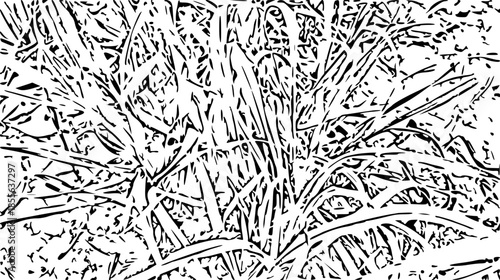 seamless pattern of trees