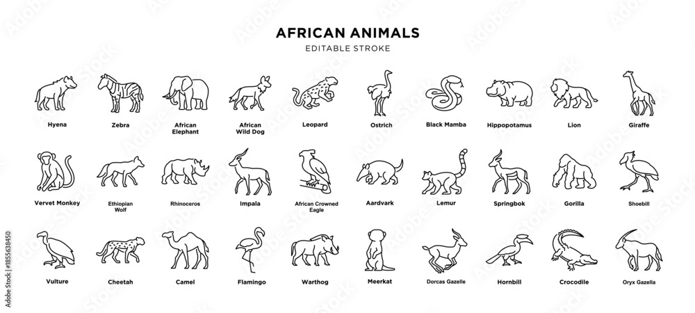 Naklejka premium Collection of african animal line drawings, editable stroke