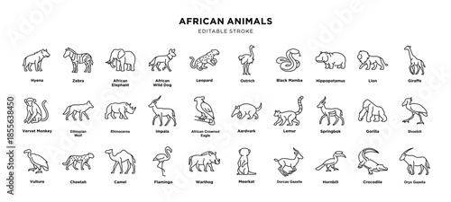 Collection of african animal line drawings, editable stroke