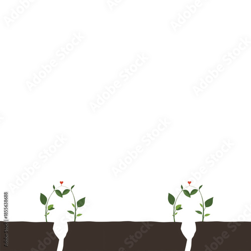 Two plants growing in separate soil sections with green leaves and red hearts