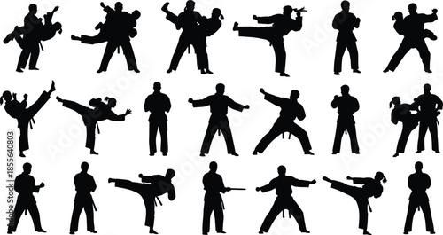 Martial arts silhouette collection, karate taekwondo fighting poses, athletes performing kicks punches, self defense training action, isolated black illustration set