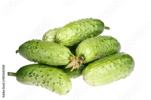 Fresh cucumber on the white background color
