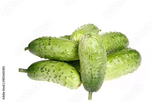 Fresh cucumber on the white background color