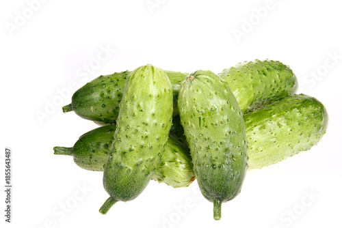 Fresh cucumber on the white background color