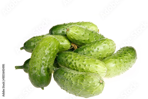 Fresh cucumber on the white background color