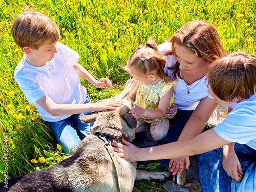 Children and adult playing with a dog in a sunny field of flowers during a bright day
