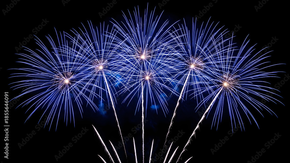 Fototapeta premium Fireworks exploding in the night sky with vibrant blue and white lights