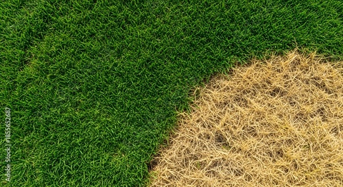 A patch of dry grass contrasting against a healthy green lawn from a top-down aerial perspective for environmental change concept.