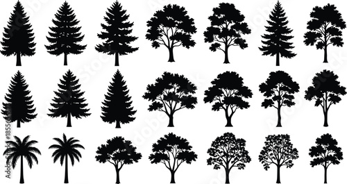Collection of tree silhouettes, forest tree icons set, deciduous and conifer trees, palm trees, nature elements, black tree shapes, isolated on white background