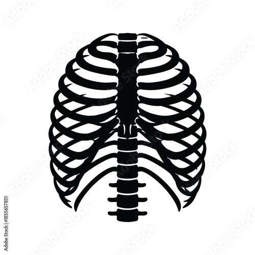 Silhouette of human rib cage anatomy