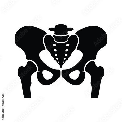 Silhouette of human pelvic bone silhouette