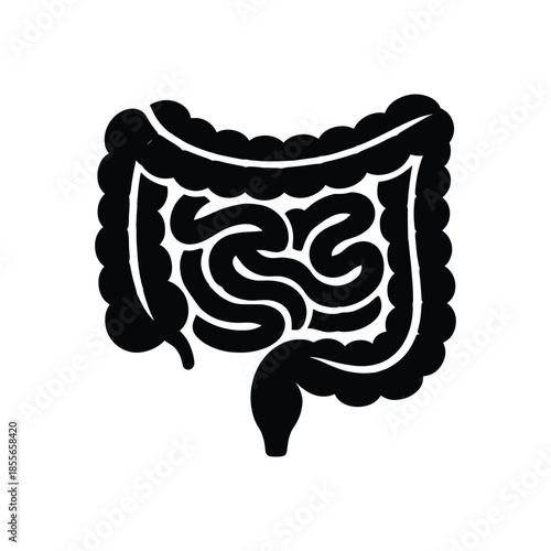Silhouette of human intestines anatomy