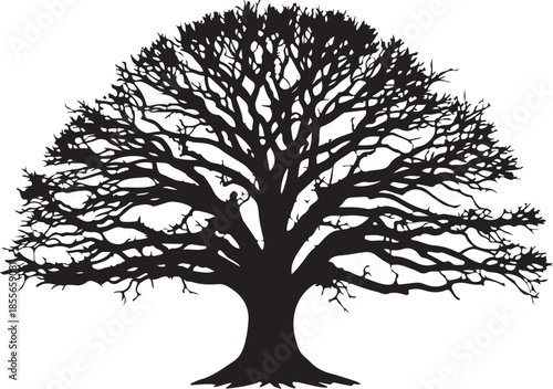 
Tree Silhouette Vector  Unique Designs