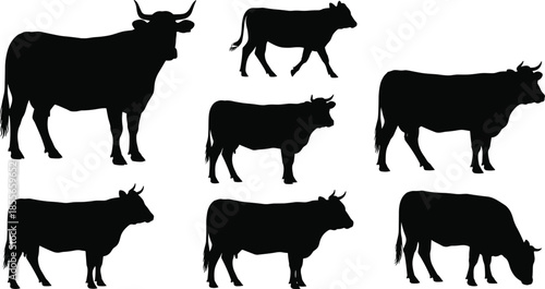 Cow silhouette illustration set, various poses and profiles, horn shapes, walking, standing, black vector icons, isolated