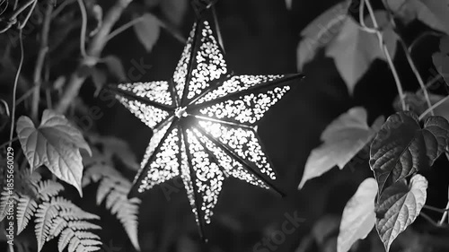Black and White Star Lantern Hanging Among Lush Greenery.