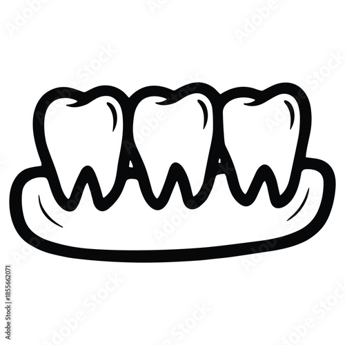 Outline illustration of three teeth in gums