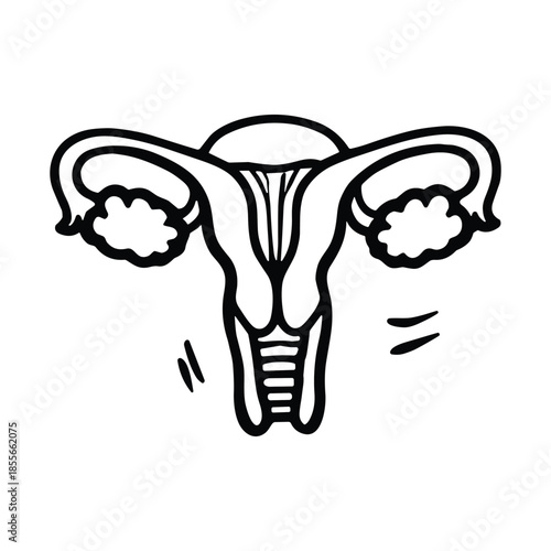 Black outline illustration of female reproductive system