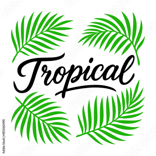 Logo paraíso tropical. Silueta de hojas de la palma con palabra manuscrita Tropical 