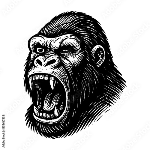 Fierce roaring gorilla drawing in black and white illustration.
