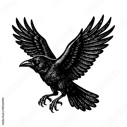 Intricately detailed black and white raven in flight with outstretched wings.