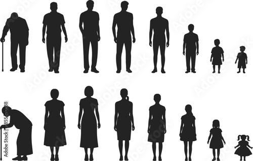 Human growth silhouettes, aging stages, male female progression, life cycle, vector people, black shapes, development timeline, age transition, posture change, generational art