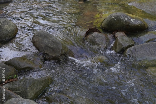 Big stones resting in a natural river.