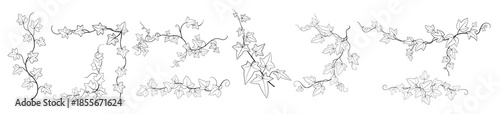 Floral ivy drawing decorative ornament flat design collection.