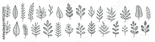 minimal hand drawn collection