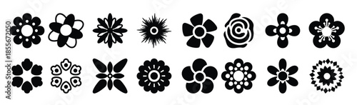 pack of flower types vectors 