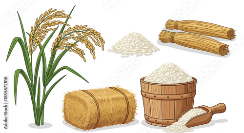 Vector collection of rice production elements showing growing stalks, piles of grains, and a wooden barrel of rice.