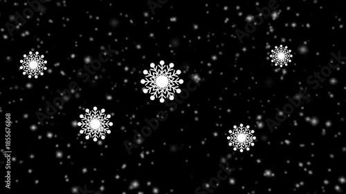 Falling Snowflakes in the Night - Black Background