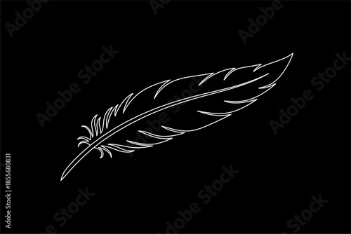 Artistic Black Feather Illustration on Dark Background for Creative Design Inspiration