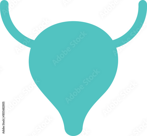  Female Reproductive System Medical Illustration