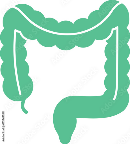 Human Digestive System Anatomy Illustration