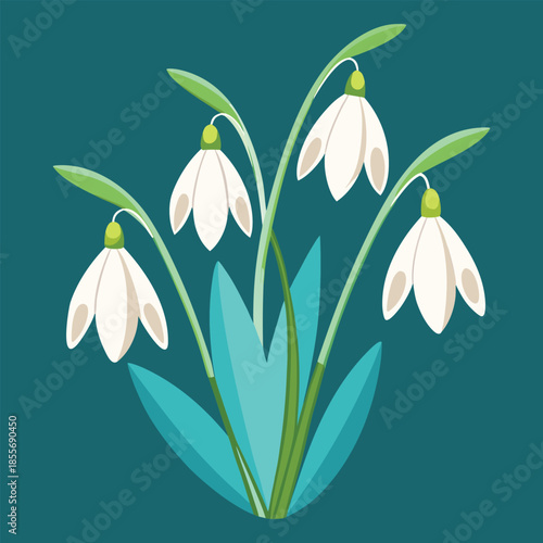 Snowdrop Elegance on Teal
