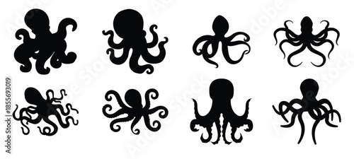octopus vector icon set devilfish illustration sign