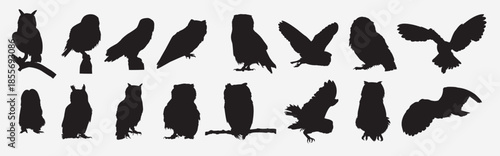 Set of owl vector illustration 