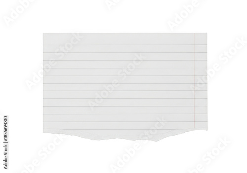 Torn lined notebook paper isolated on transparent background
