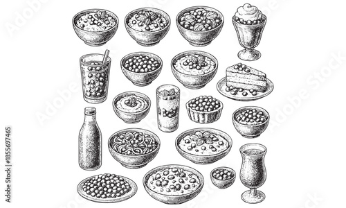 Vintage Ice Cream Desserts and Nuts Sweets Illustration Set